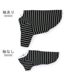 PET PARADISE J.PRESS フライス Tシャツ 《ボーダー》 小型犬