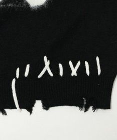 WEGO バタフライダメージニット