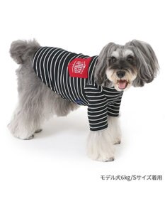 PET PARADISE J.PRESS フライス Tシャツ 《ボーダー》 小型犬