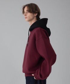 WEGO 【ユニセックス着用ITEM/MLサイズ展開】ワンポイントバイカラープルパーカー