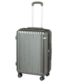 ACE BAGS & LUGGAGE ace. パリセイドZd Mサイズ 59～70L 06818 エース