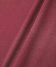 Green Parks ・ｓｗｉｎｇ　ｂｙ　シルケットオーバーサイズＴＥＥ