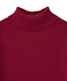 earth music&ecology 【イージーケア】【洗濯機洗い可】レンチング(TM)エコヴェロ(TM)(リブタートル)