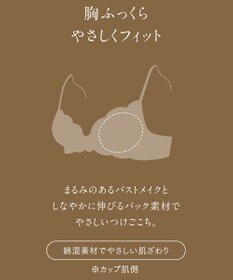 Wing Wing Lesiage　【2820シリーズ】　ブラジャー　ふっくらまる胸メイク　ウイング／ワコール　PB2820