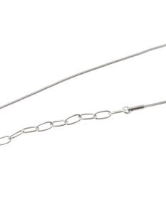 Green Parks ｅｖｅｒｙｗａｌｋ．ステンレスマルチウェイネックレス