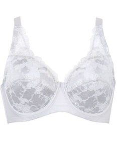 Wing フルカップブラ　肌あたりがやさしい　ウイング／ワコール　NB2703