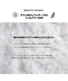 GOTAIRIKU 【IMPORT】ADSダウンベスト_DELFINO