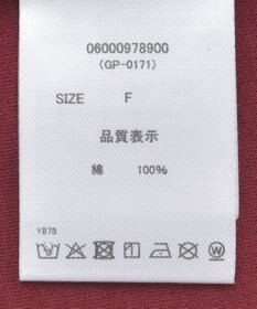 Green Parks ・ｓｗｉｎｇ　ｂｙ　シルケットオーバーサイズＴＥＥ