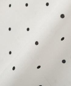 earth music&ecology 【イージーケア】TRキュプラダブルボタンフリルシャツ