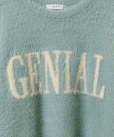 Green Parks シャギーロゴニットプルオーバー