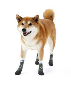 PET PARADISE 犬 靴 靴下 フィットシューズ 【SM】 グリーン ブラウン