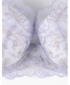 AMPHI ブラジャー ふっくらまる胸キープ 脇高設計 背中をスムージング Gカップまで対応 大きいサイズ 【Hold Day Bra ホールドデイブラ】 ブラ BYJ382 アンフィ／ワコール