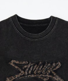 WEGO 【ユニセックス着用ITEM//MLサイズ展開】接触冷感グラフィックBIG　T（SS）