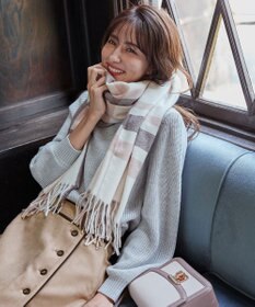 ANY SIS マルチチェック ストール