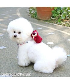 PET PARADISE ディズニー トイ・ストーリー ロッツォ マスコット付き ハーネス ３Ｓ 小型犬