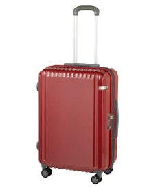 ACE BAGS & LUGGAGE ace. パリセイドZd Mサイズ 59～70L 06818 エース