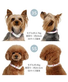 PET PARADISE ペットパラダイス 28℃クールリング  《いちご》 ＳＳ 小型犬