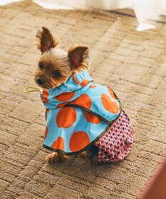 COQ DOTS CROSS ドッグポンチョ レインコート