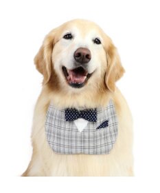 PET PARADISE ペットパラダイス 蝶ネクタイ スタイ 《チェック柄》 中型犬 大型犬