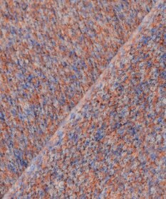 23区 【洗える】ミックスブークレ サイドスリットタートルニット