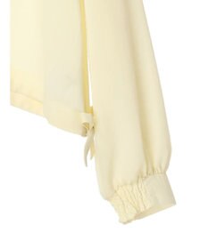 earth music&ecology ラッフルシアードロストブラウス