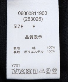 Green Parks ・ＥＬＥＮＣＡＲＥ　ＤＵＥ　ストライプフレアスカート