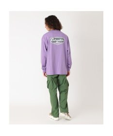 Columbia Columbia/ サンダーマウンテングラフィックロングスリーブTシャツ /コロンビア