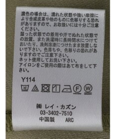 Green Parks ・ＲＡＹ　ＣＡＳＳＩＮ　Ｖネックジャンスカ