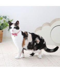 PET PARADISE ペットパラダイス 猫 首輪 ギンガムチェック 《レッド》 小サイズ/中サイズ