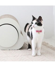 PET PARADISE ペットパラダイス 猫 首輪 ギンガムチェック 《レッド》 小サイズ/中サイズ