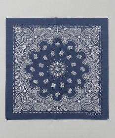 GOTAIRIKU BOX入りでギフトに最適【高機能吸水 / 抗菌防臭加工/シワになりにくい】バンダナハンカチ