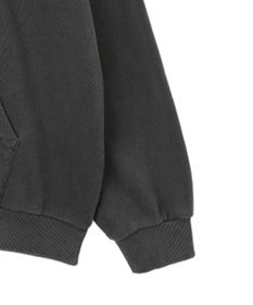 WEGO 【ユニセックス着用ITEM】ピグメントラメグラフィックプルパーカー