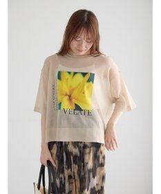Te chichi フロントプリントシアーニット
