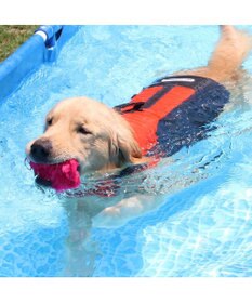 PET PARADISE ペットパラダイス ライフベスト 【Ｌ】 《オレンジ》