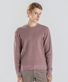 JOSEPH HOMME 【新柄】 ヴィスコースリンクス　クルーネックニット