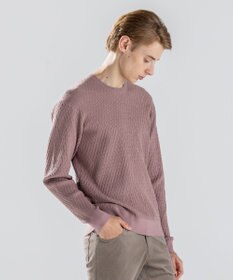 JOSEPH HOMME 【新柄】 ヴィスコースリンクス　クルーネックニット