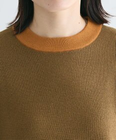 CRAFT STANDARD BOUTIQUE 洗える/とてもち配色ニットプルオーバー/24AW