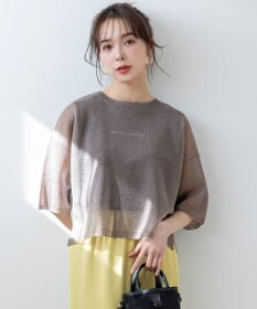 ANY SIS L 【洗える】シアー ニットT