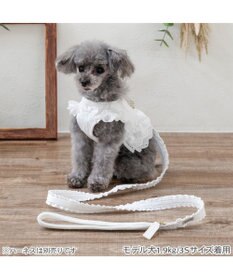 PET PARADISE ペットパラダイス レースフリル リード ４Ｓ～３Ｓ