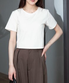 WEGO 【7色/SMLサイズ展開】コンパクトフィットT