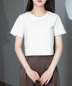 WEGO 【7色/SMLサイズ展開】コンパクトフィットT