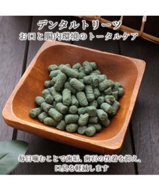 PET PARADISE ペットパラダイス プレミアムフード デンタルトリーツ 90ｇ