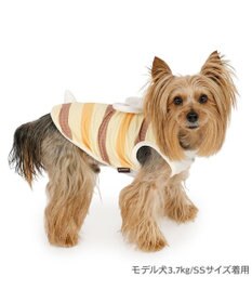 PET PARADISE ペットパラダイス 蜂さん タンクトップ 小型犬