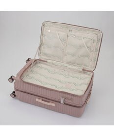 ACE BAGS & LUGGAGE HaNT ココント スーツケース 88/102L エキスパンド 05517 ハント