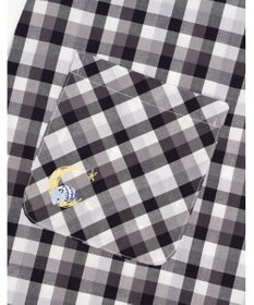 Wing 【パジャマ】長袖・長ズボン　綿100%　チェック柄　ウイング／ワコール　EP4000