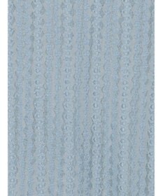 Te chichi ストレッチレーストップス《2026 spring catalog item》