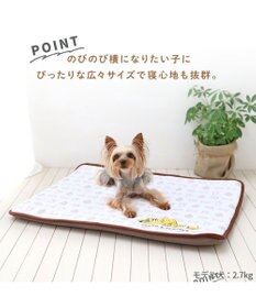 PET PARADISE ディズニー ミッキーマウス もちっとクールマット 防臭