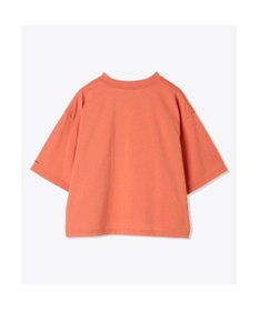 Columbia Columbia/ ウィメンズサンダーマウンテンショートスリーブTシャツ /コロンビア