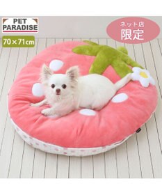 PET PARADISE ネット店限定 ペットパラダイス 春いちご クッション  M