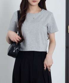 WEGO 【7色/SMLサイズ展開】コンパクトフィットT